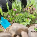 Easy Tips to Start Landscaping Your Garden: Beginner-Friendly Yard Upgrades
