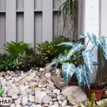 Low Maintenance Small Rock Garden Ideas for Dubai Homes
