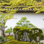 Tips for Creating a Low Maintenance Japanese Garden in Dubai