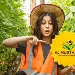 How to Find the Best Landscaping Companies in Dubai