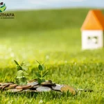 Does Artificial Grass Increase Home Value in Dubai?