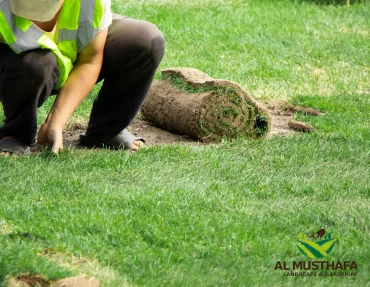 how often does artificial grass need replacing in dubai