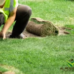 How Often Does Artificial Grass Need Replacment in Dubai?
