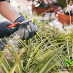 How to Maintain Artificial Grass in Dubai