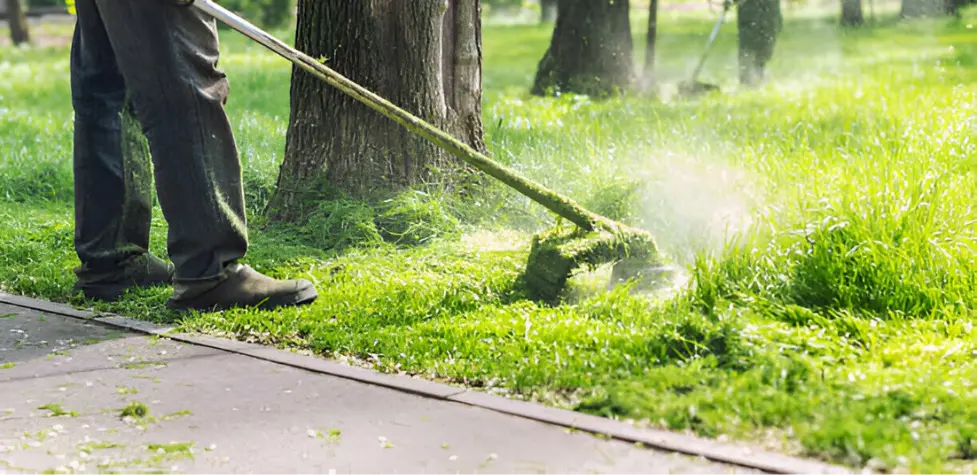 garden maintenance services in dubai